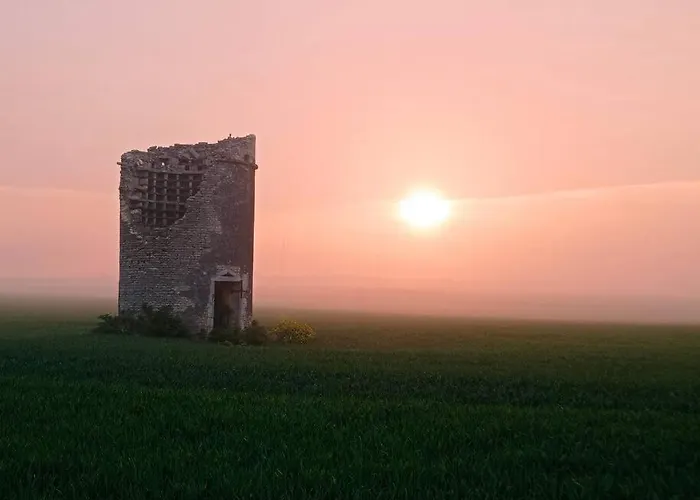 Dinah 17 Maison Dans La Campagne Rochelaise بيت للعطل Saint-Sauveur-d'Aunis