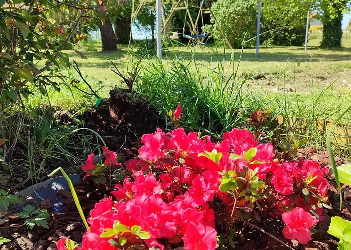 Dinah 17 Maison Dans La Campagne Rochelaise